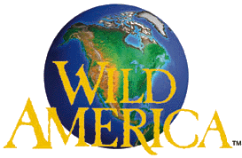 Wild America